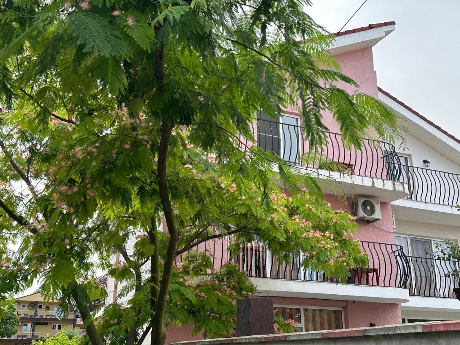 Vila Lucy Costinesti Hotel Exterior foto