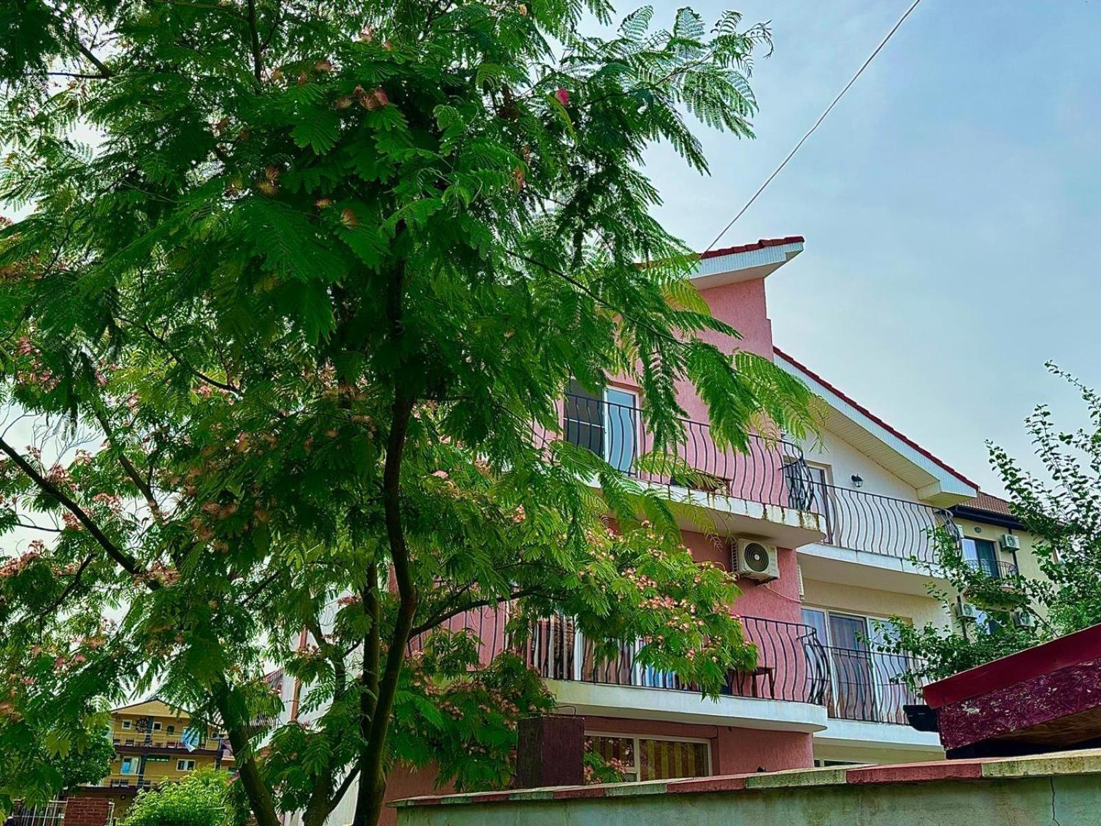 Vila Lucy Costinesti Hotel Exterior foto